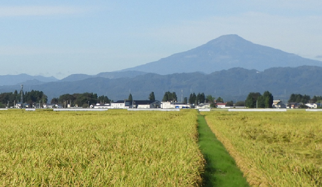 メインピクチャ